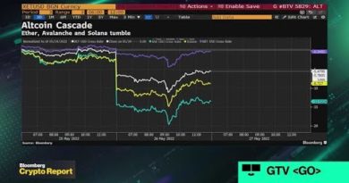 Altcoins Lead Crypto Rout