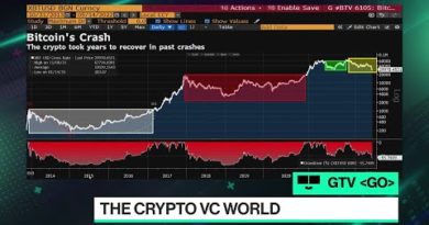 Collapse of the Crypto Market