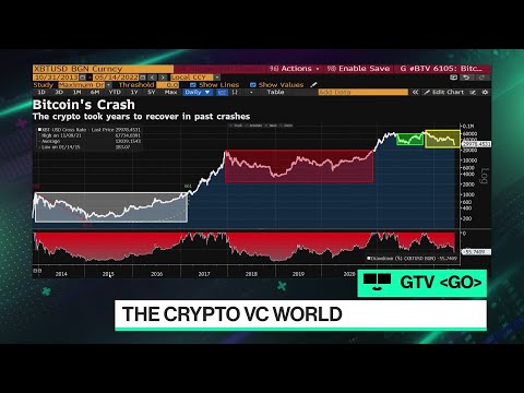 Collapse of the Crypto Market