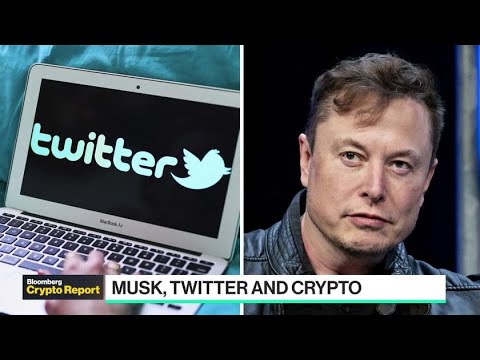 Crypto Report: Musk, Twitter and Decentralized Platforms