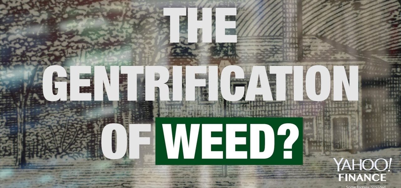 How Weed is Becoming Gentrified?