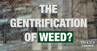 How Weed is Becoming Gentrified?