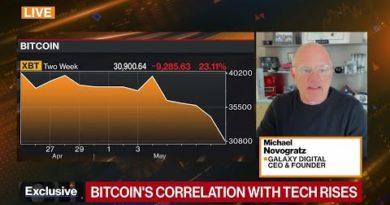 Novogratz on Bitcoin Volatility, Pain in Markets