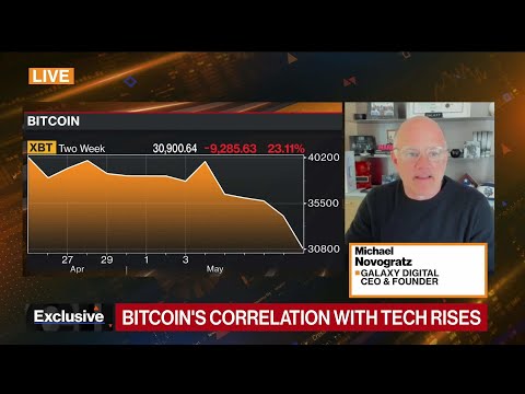 Novogratz on Bitcoin Volatility, Pain in Markets