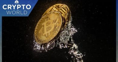 Luna’s bitcoin liquidation marks significant reversal: Castle Island Ventures’ Nic Carter