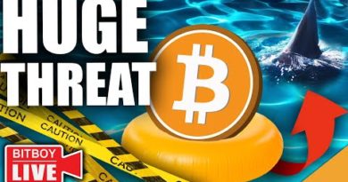 Price Manipulation Keeping BITCOIN Afloat! (HUGE Threat To Digital Dollar!)