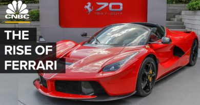 The Rise Of Ferrari