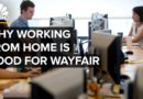 The Rise Of Wayfair