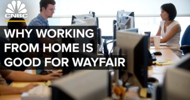 The Rise Of Wayfair