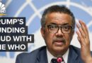 Trump’s Funding Fight Against The WHO, Explained