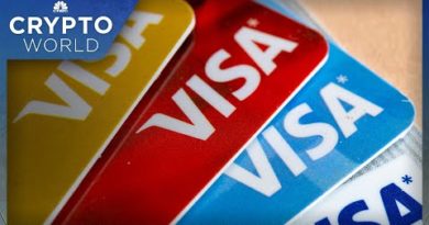 Visa launches NFT-focused program for small businesses