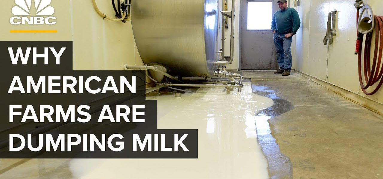 Why American Farmers Are Dumping Milk