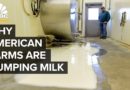 Why American Farmers Are Dumping Milk