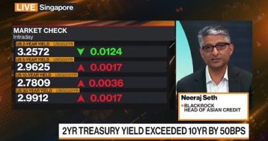 BlackRock Positioning for More Volatility, Fed Hikes: Seth