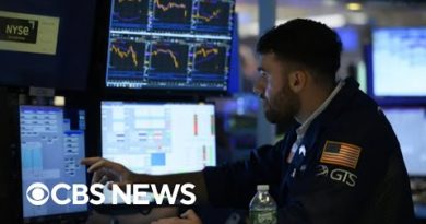 Financial experts warn of a “bear market rally”