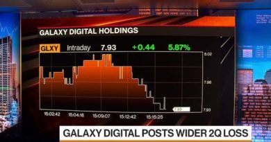 Novogratz Happy With Bitcoin Between $20 - $30K