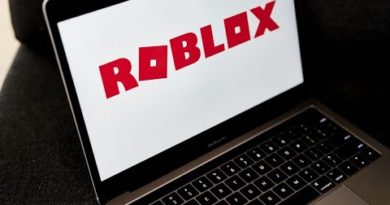 Roblox CEO on Post-Pandemic Gaming Slump