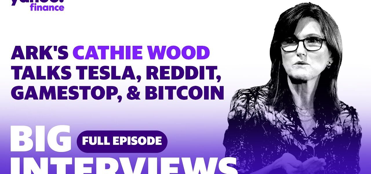 Cathie Wood discusses her investing picks, plus her insight on Reddit, GameStop, Tesla and bitcoin