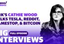 Cathie Wood discusses her investing picks, plus her insight on Reddit, GameStop, Tesla and bitcoin