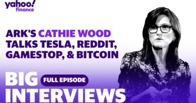 Cathie Wood discusses her investing picks, plus her insight on Reddit, GameStop, Tesla and bitcoin