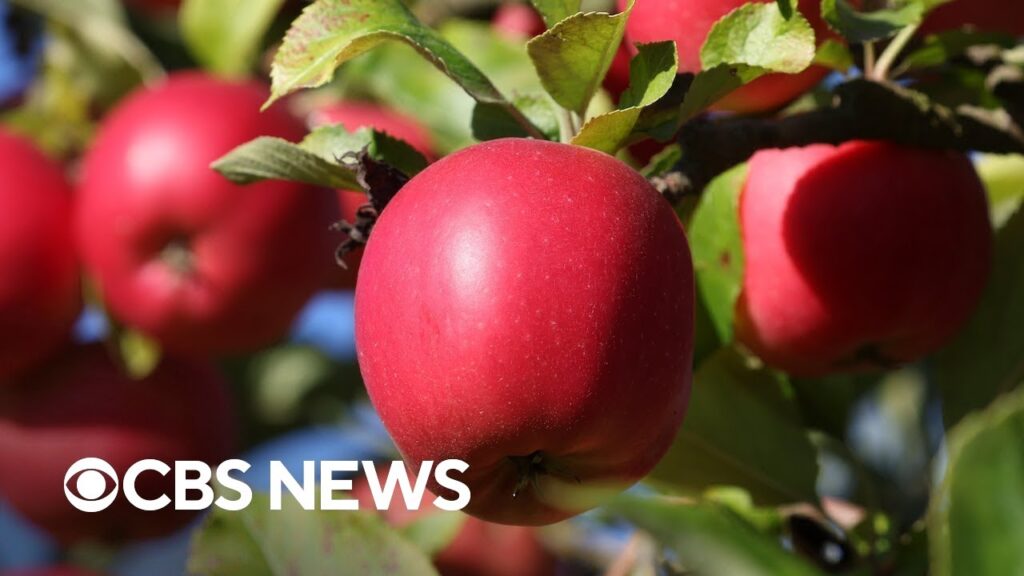 Apple prices could increase due to inflation, supply chain issues