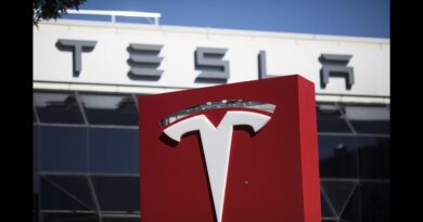 Cathie Wood Buys More Tesla Shares