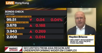 Could See Yields in Asia Drifting a Bit Higher: Briscoe