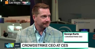 CrowdStrike CEO on Cybercrime Uptick