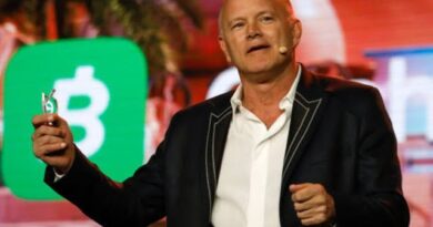 Crypto Is Not Going Away, Says Galaxy's Novogratz