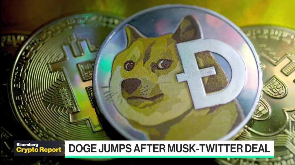 Crypto Report: Musk, Twitter and Dogecoin