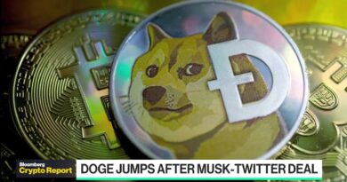Crypto Report: Musk, Twitter and Dogecoin