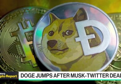 Crypto Report: Musk, Twitter and Dogecoin