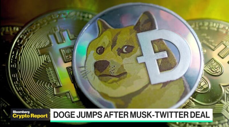 Crypto Report: Musk, Twitter and Dogecoin