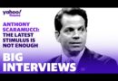 Anthony Scaramucci discusses why the stimulus is not enough, the Trump presidency, and Bitcoin