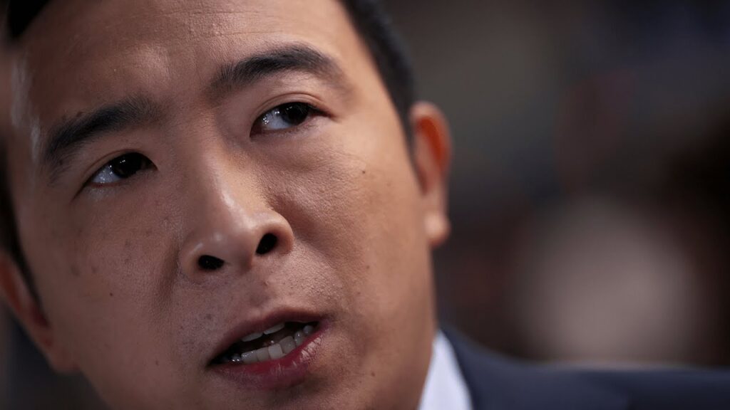 We need to deliver a Senate which will be looking to pass laws: Andrew Yang