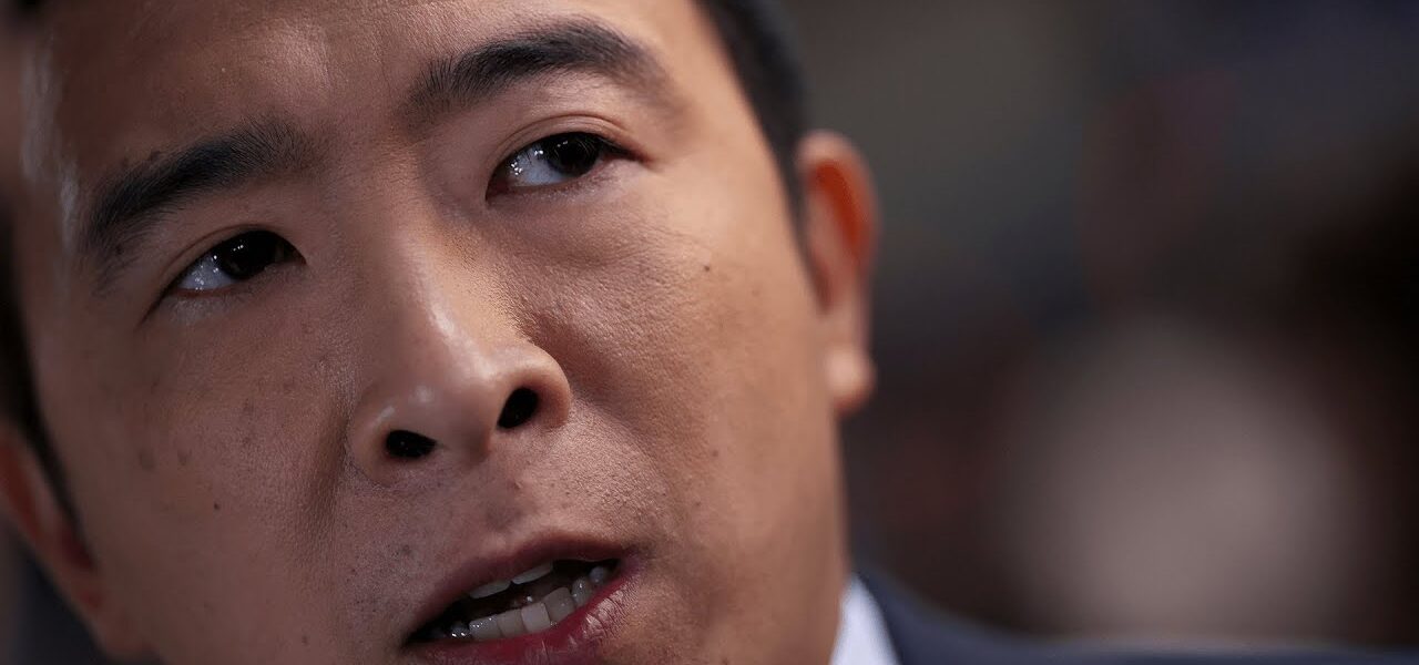 We need to deliver a Senate which will be looking to pass laws: Andrew Yang