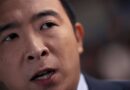 We need to deliver a Senate which will be looking to pass laws: Andrew Yang