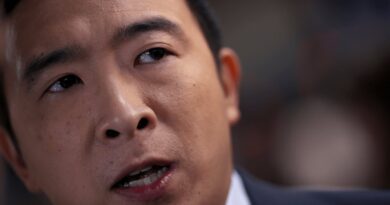 We need to deliver a Senate which will be looking to pass laws: Andrew Yang