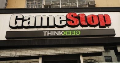 GameStop Is a Top Stock Driving Hedge Fund Return: Sloan