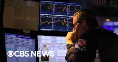 Global markets fall sharply over fears of a weakening economy