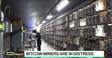 Impact of Crypto Winter on Bitcoin Miners