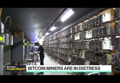 Impact of Crypto Winter on Bitcoin Miners