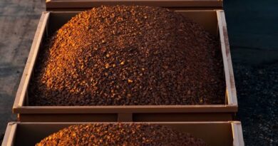 Iron Ore Sinks, Steel Mills Go Dark in China