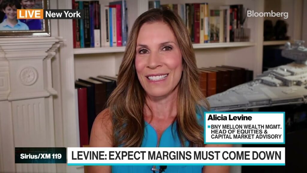 Margins Will Come Down Quick and It Will Hit Earnings Quick: Levine