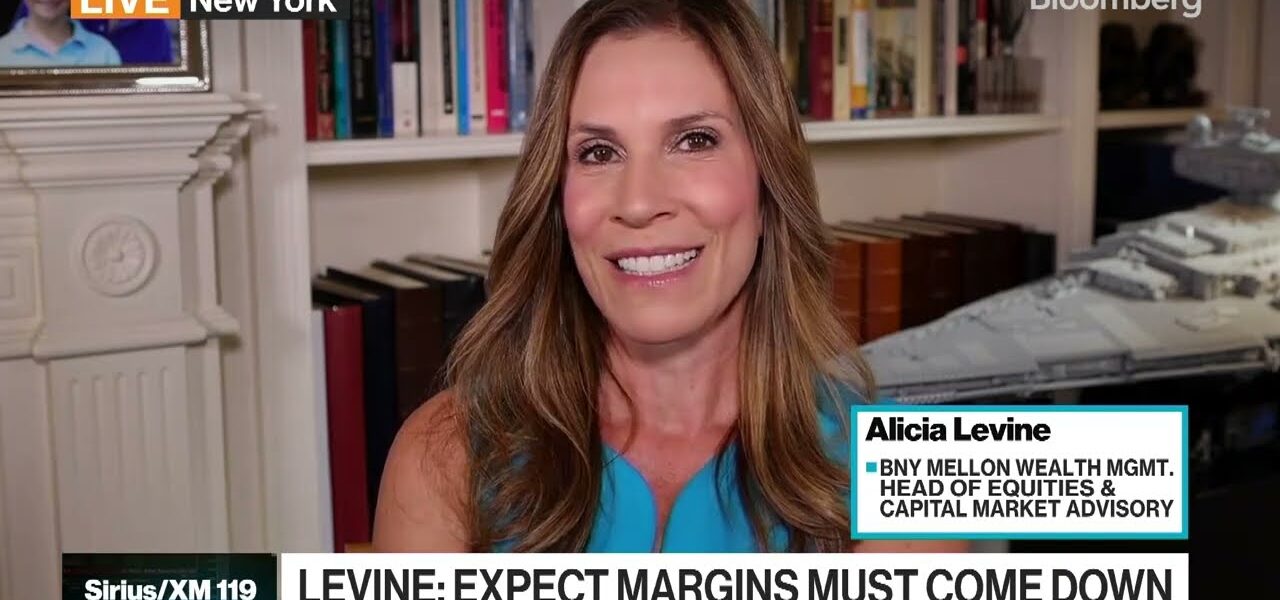 Margins Will Come Down Quick and It Will Hit Earnings Quick: Levine