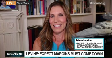 Margins Will Come Down Quick and It Will Hit Earnings Quick: Levine