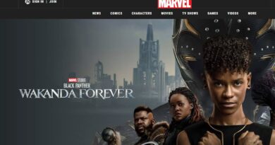 Marvel’s ‘Wakanda Forever’ Sets Box Office Record