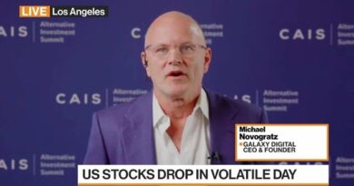 Novogratz on Market Volatility, Bitcoin’s Hard Year