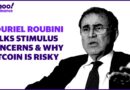 Nouriel Roubini discusses bitcoin risk, stimulus concerns, and the rise in SPACs