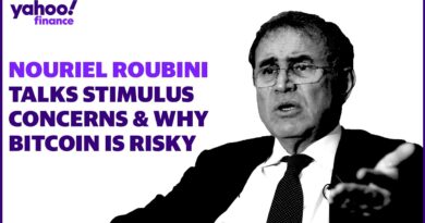 Nouriel Roubini discusses bitcoin risk, stimulus concerns, and the rise in SPACs